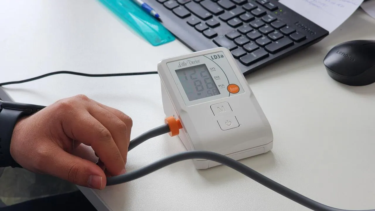 REGIONS/Валерия Тингаева