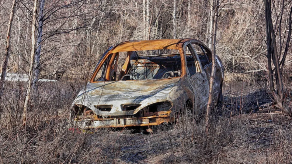 Фото: pxhere.com