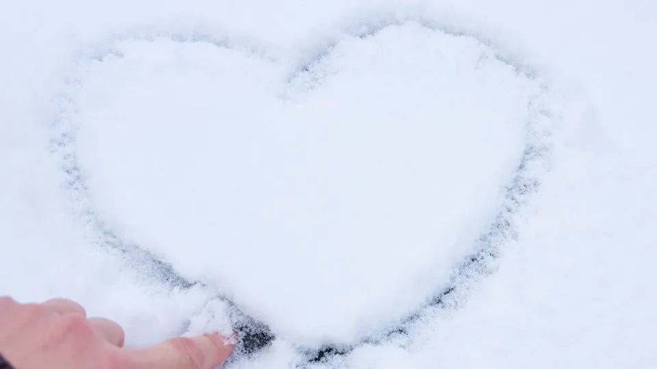 Фото: istockphoto.com/Alena Ivochkina