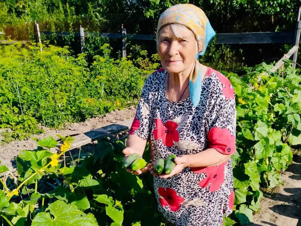 пресс-служба администрации Можайского городского округа