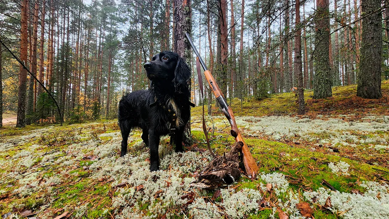 личный архив Станислава Орлова