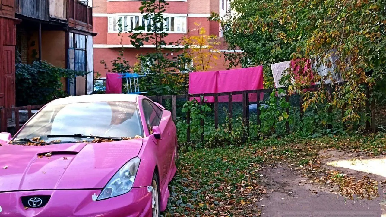 фото: соцсети