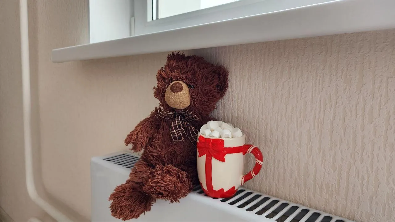 Фото: Валерия Тингаева