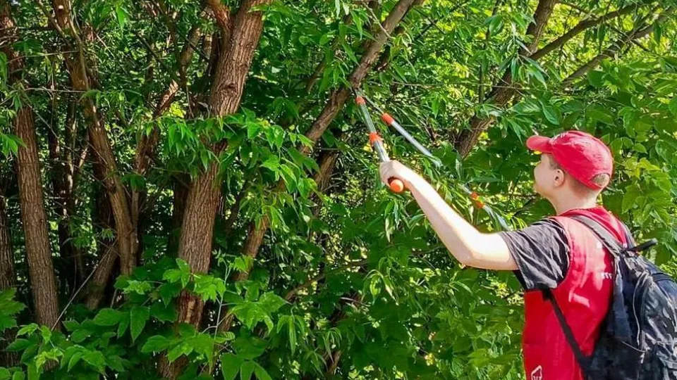 Фото: пресс-служба администрации г.о. Электросталь