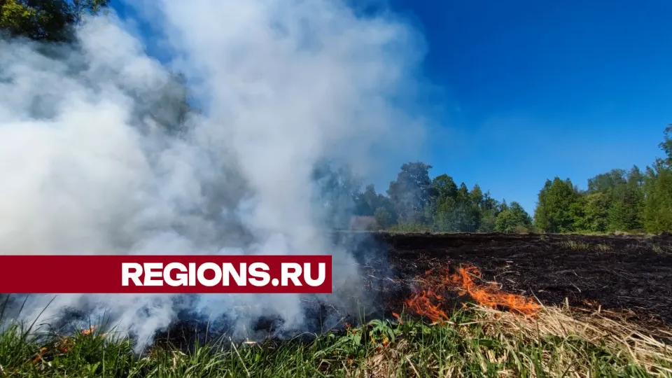 Фото: Екатерина Белякова