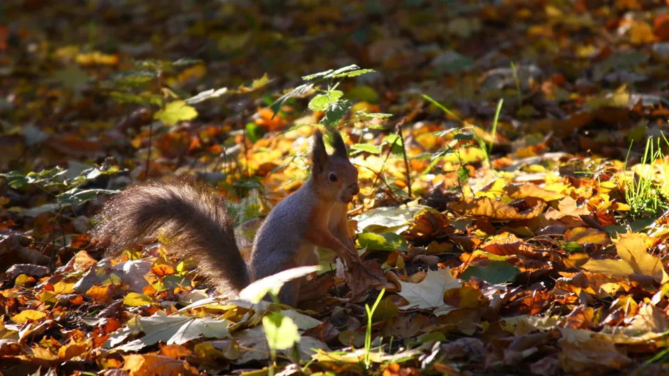 Фото: REGIONS/Дмитрий Кравцов