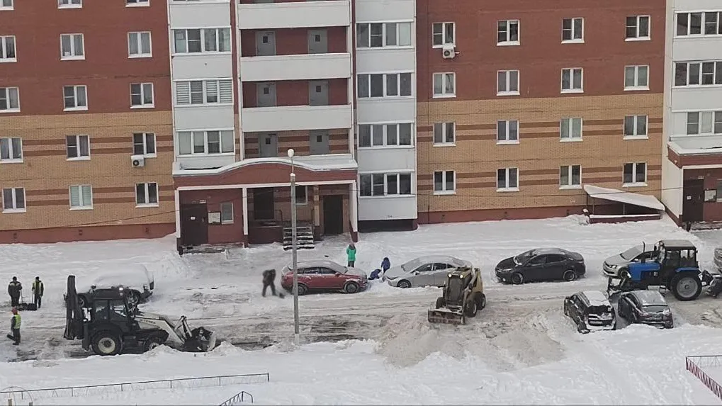 Фото соцсети.