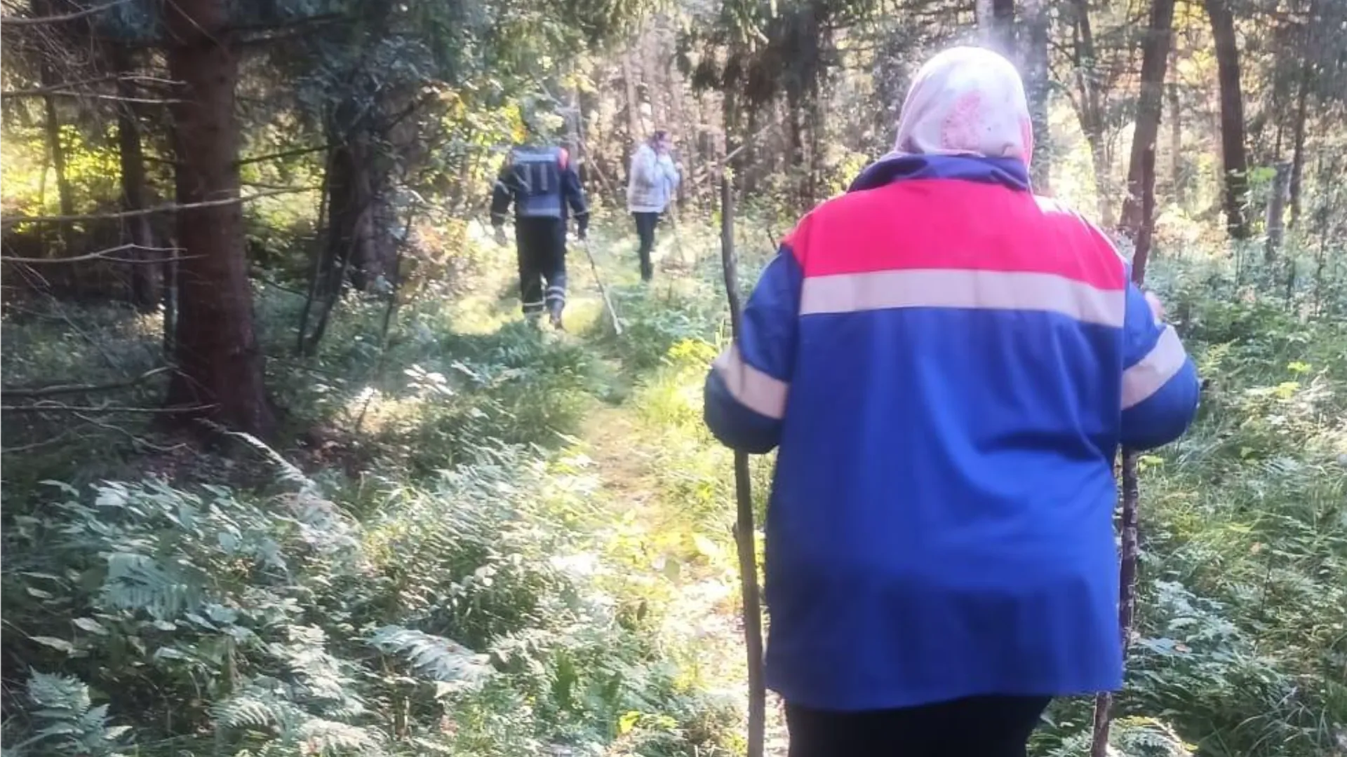 Фото: ГКУ МО «Мособлпожспас»