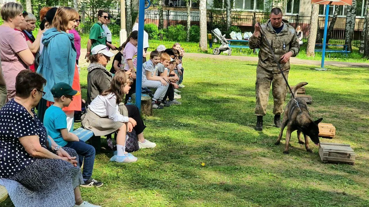 Фото: Министерство социального развития Московской области