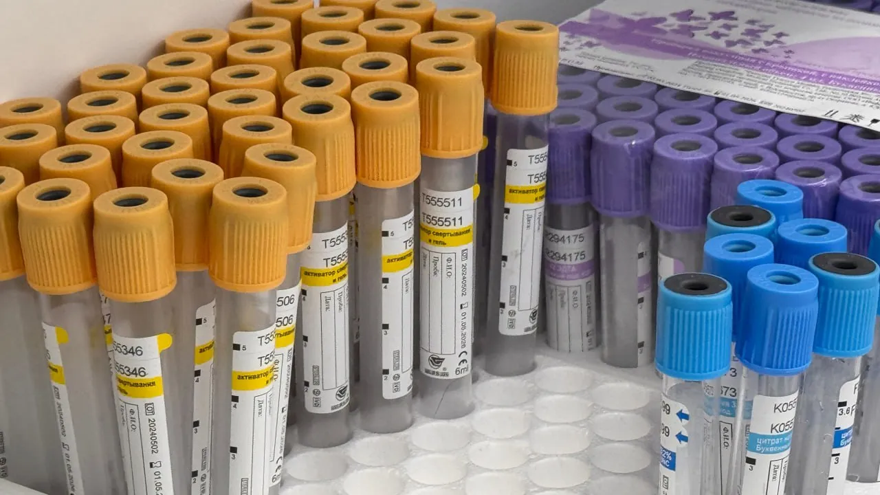 Фото: МедиаБанк Подмосковья/Мария Шматкова