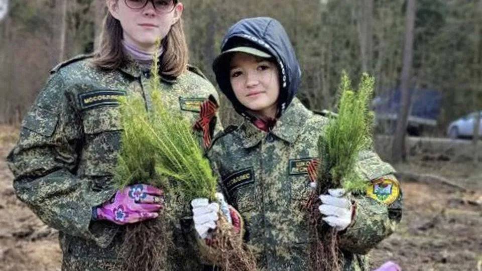 Фото: Комитет лесного хозяйства МО