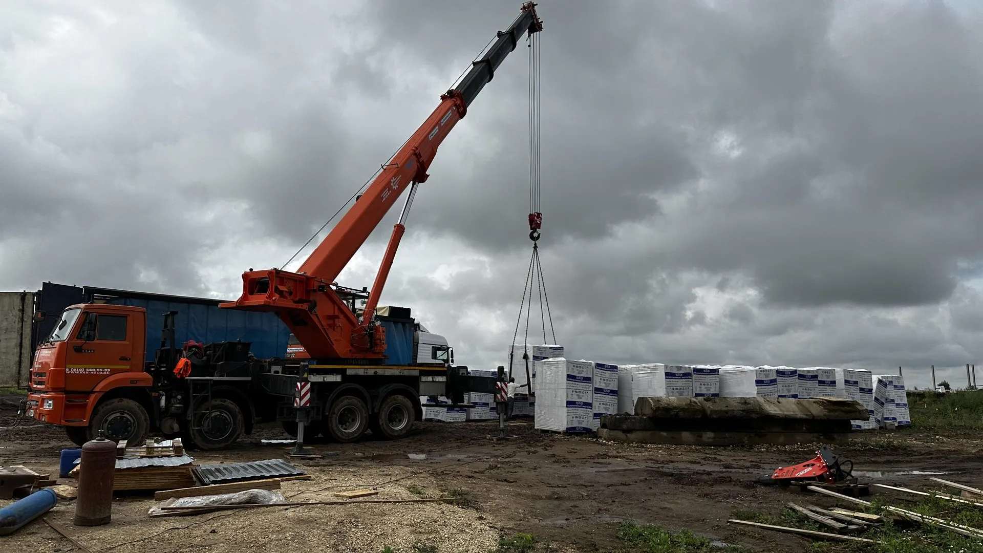 Фото: Светлана Плотникова