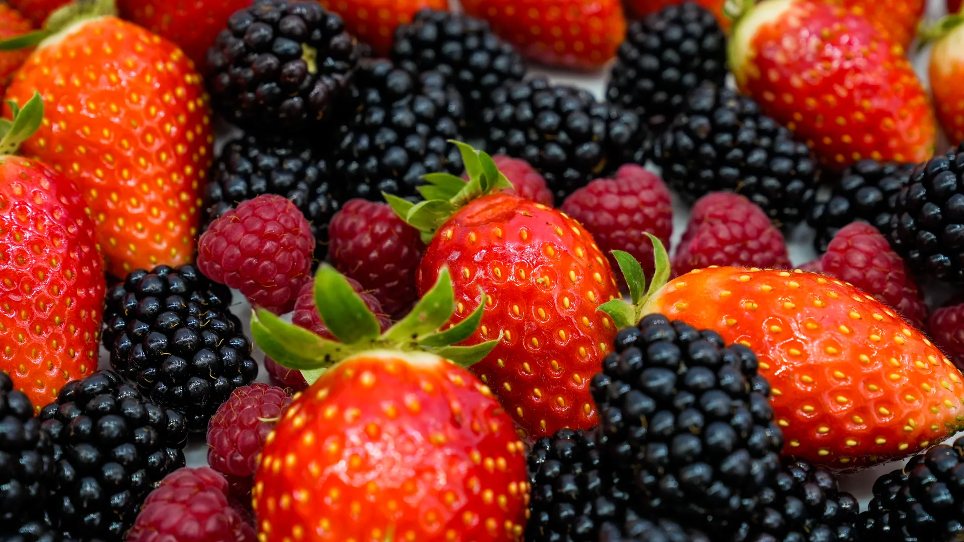 Стенд Подмосковья на выставке "Золотая осень - 2025"