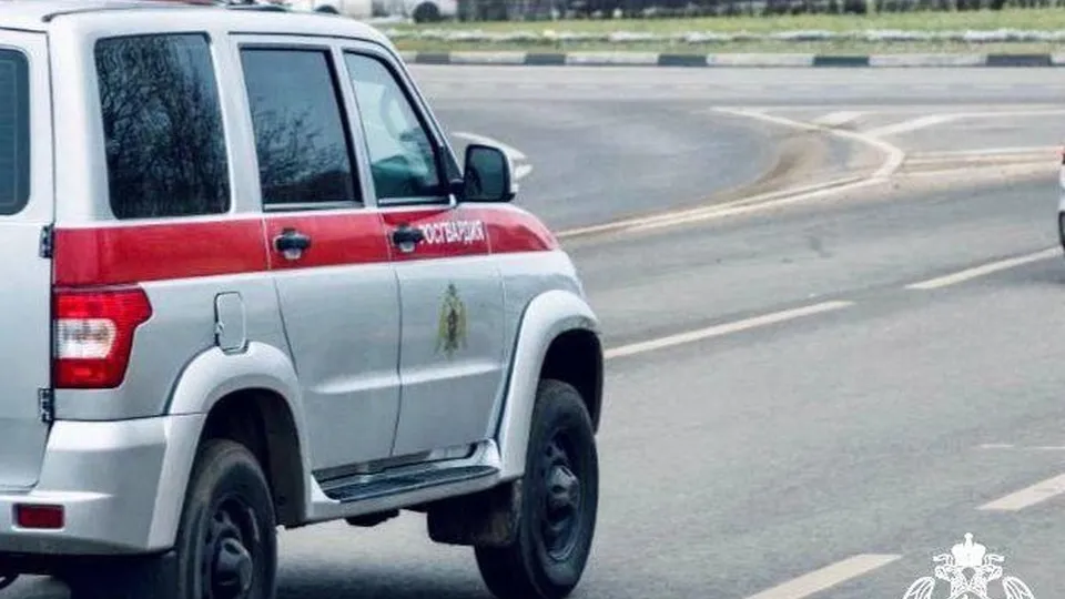 Фото: Росгвардия Московской области