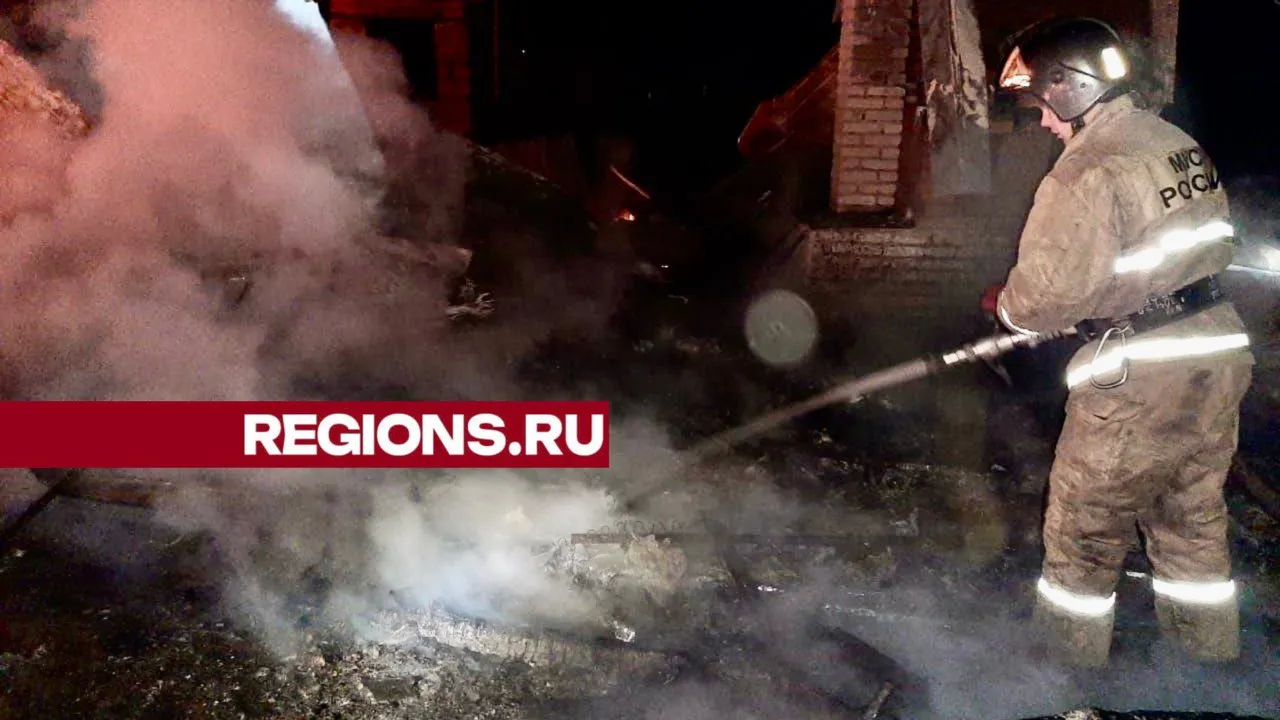 Фото: Главное управление МЧС по Московской области