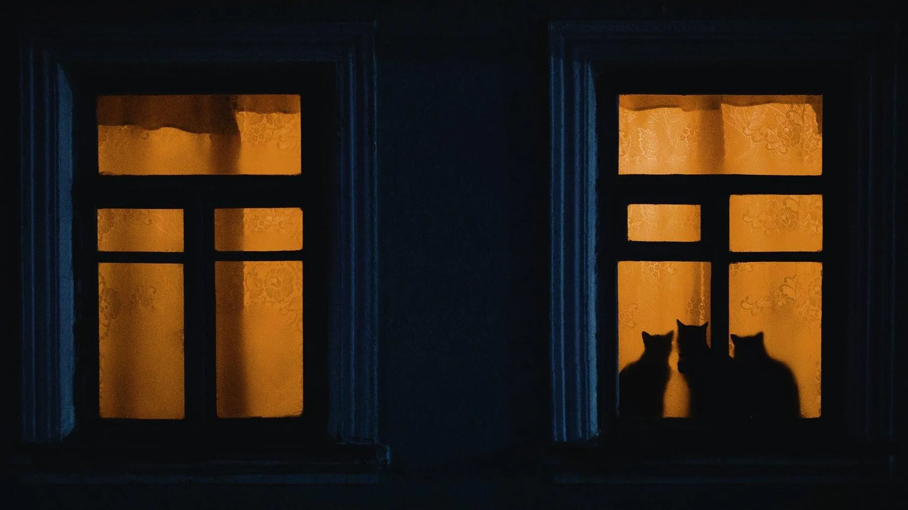 Фото: pixabay.com