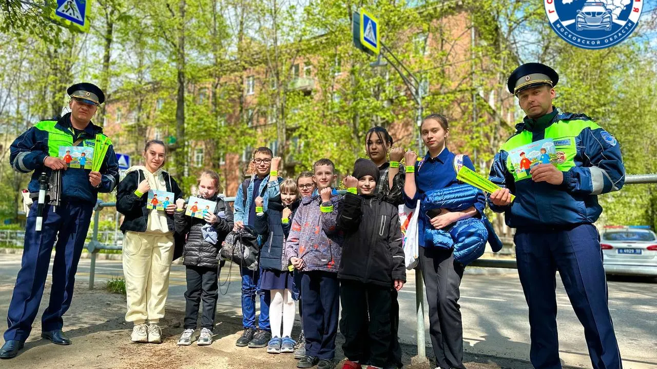 Фото: Госавтоинспекция ОМВД России по г.о. Зарайск