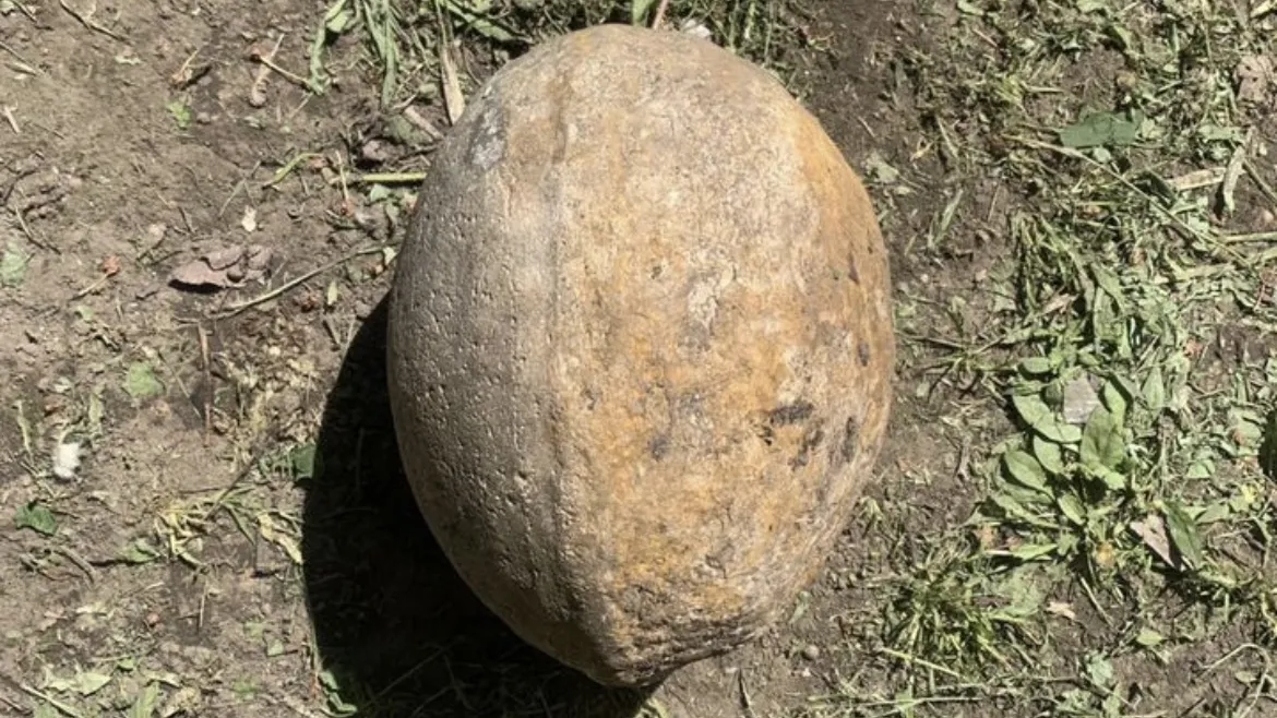 Фото: городская доска объявлений