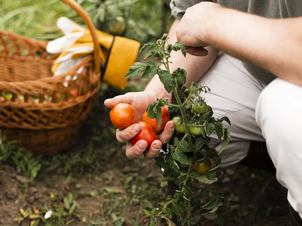 Фото: freepik.com