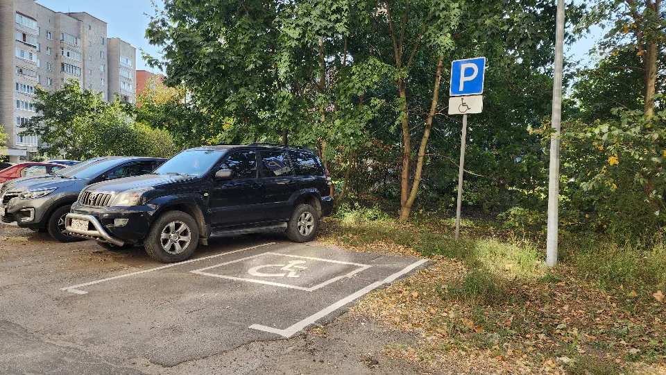 Фото: МедиаБанк Подмосковья/Иван Петрушин