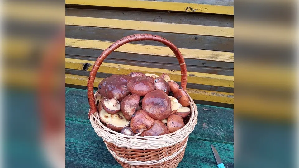 Фото: Жанна Савьюк