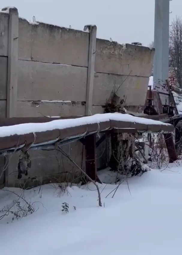 Фото: соцсети