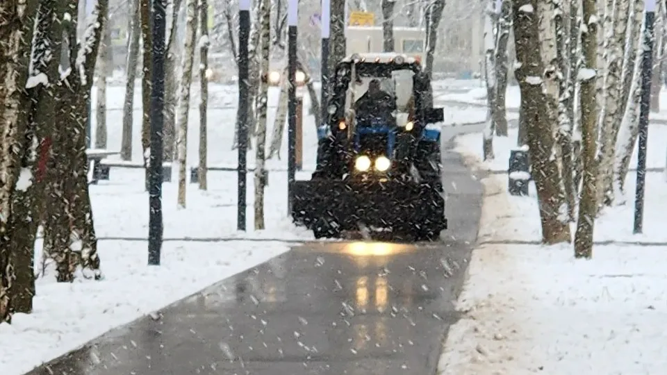 Фото: МедиаБанк Подмосковья/Юлия Смагринская