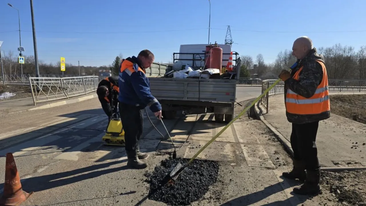 REGIONS/Яна Шаливская