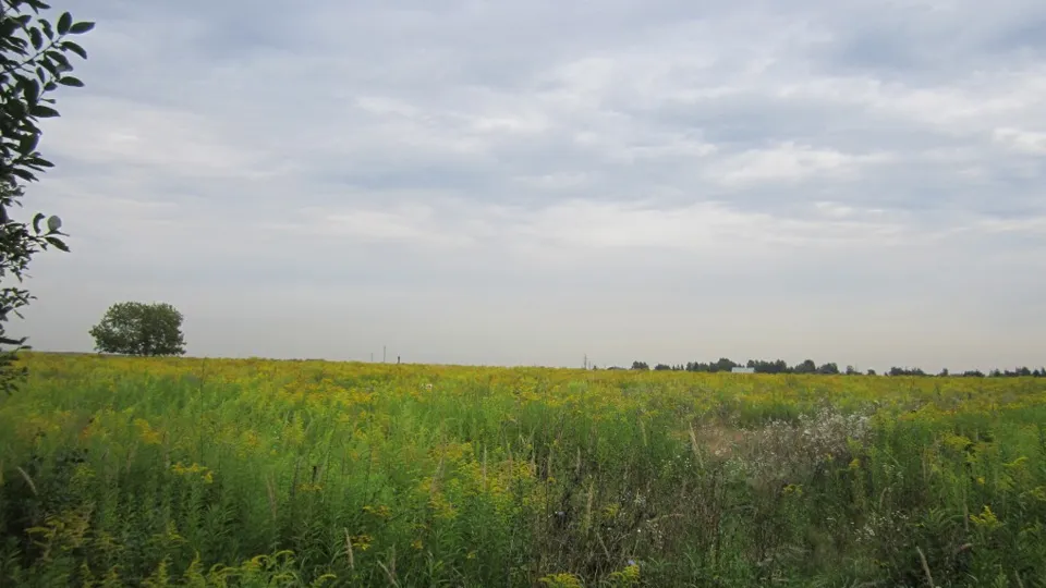 Фото: Олег Книжник