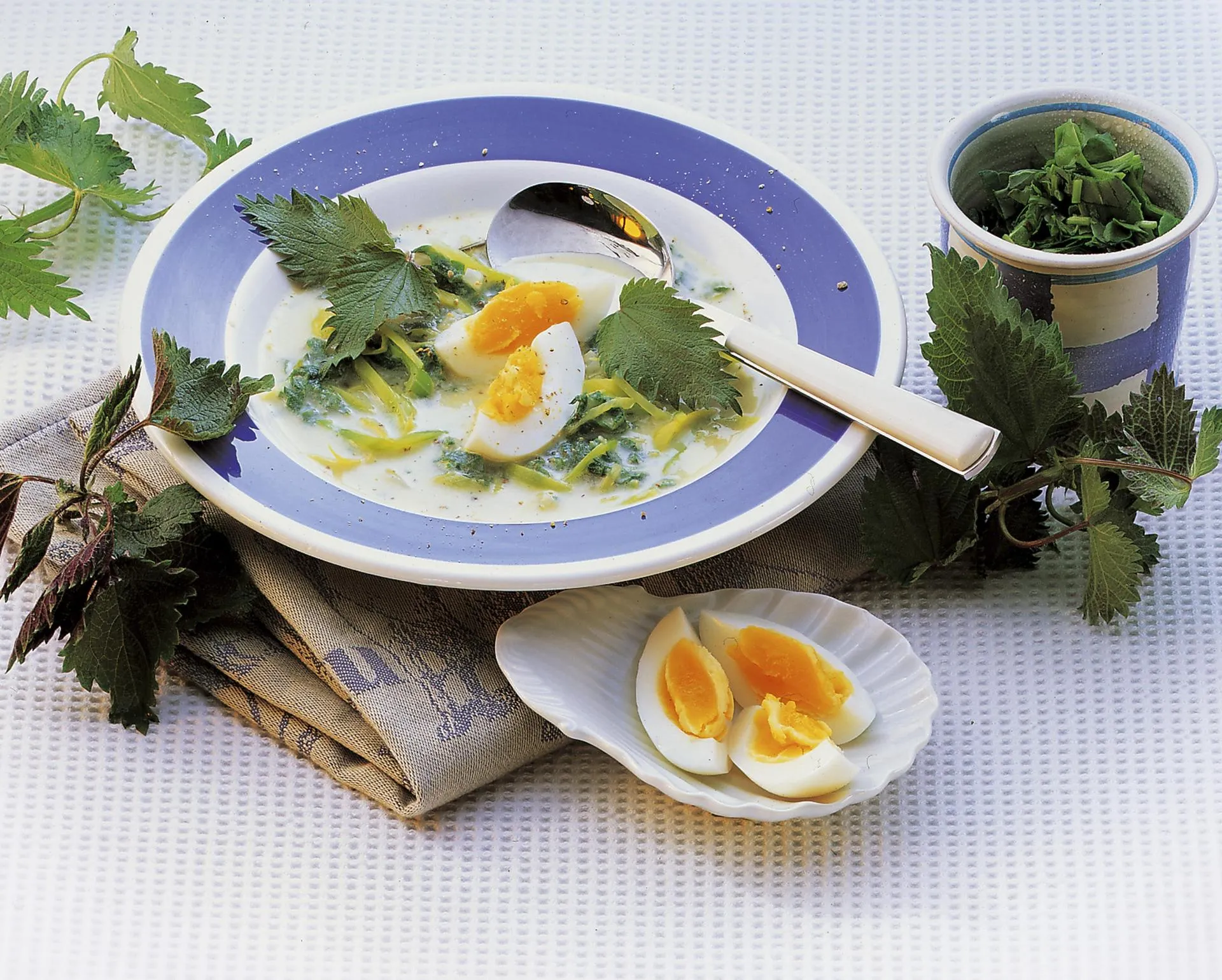 gourmet-vision/imageBROKER.com