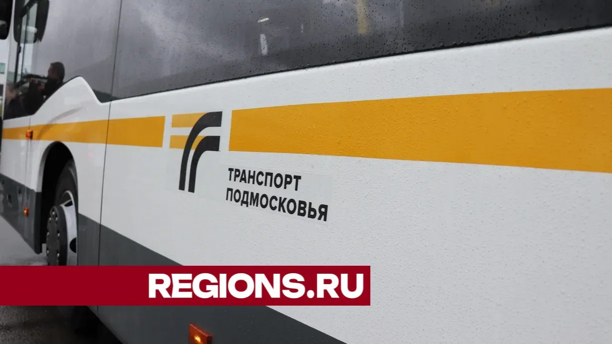 Фото: Василий Тремасов