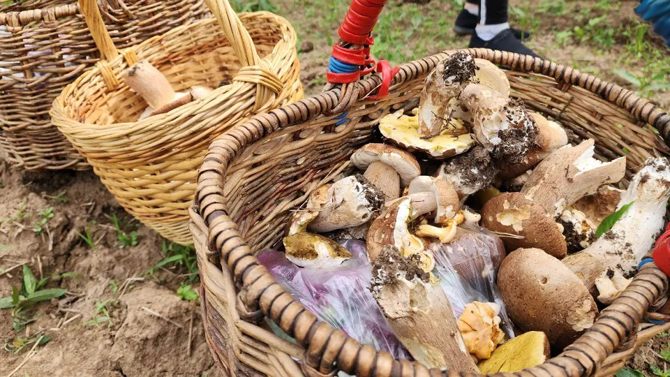 Фото: МедиаБанк Подмосковья/Мария Панина