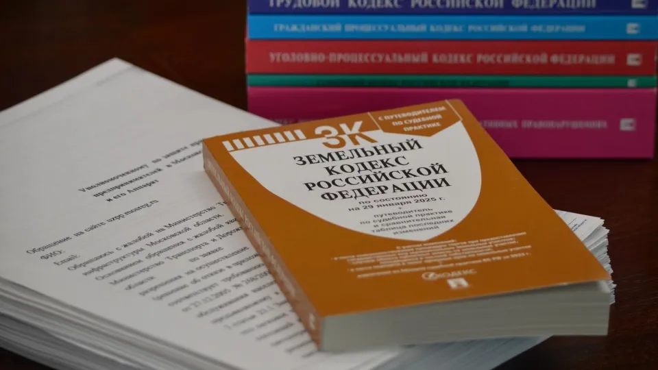 Фото: Уполномоченный по защите прав предпринимателей в Московской области