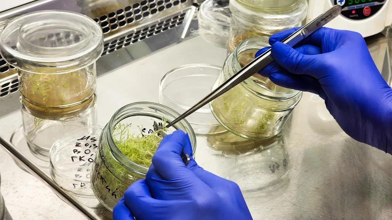 REGIONS/Мария Панина