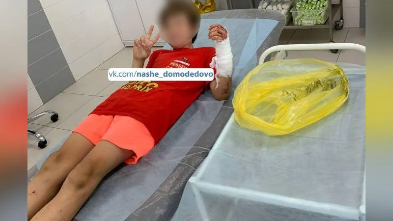 Женщина поблагодарила врачей скорой помощи, которые спасли ее сына в Домодедово