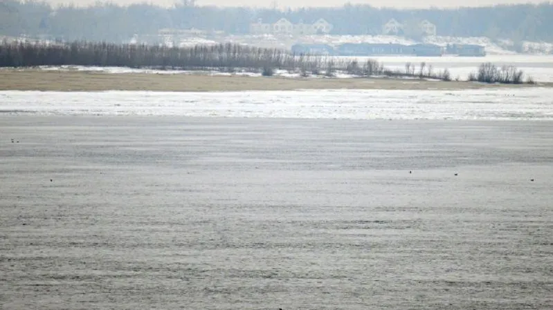 SHOT: тело основателя Cream Soda Свиргунова найдено