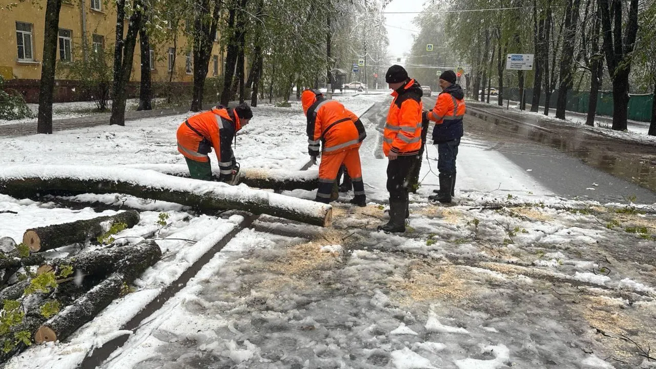 глава городского округа Пушкинский Максим Красноцветов