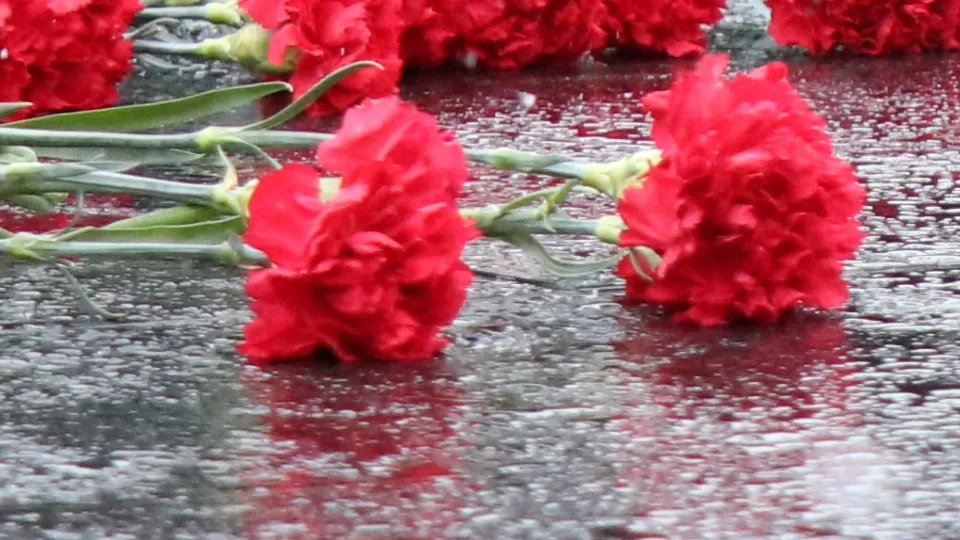 Фото: REGIONS/Василий Тремасов