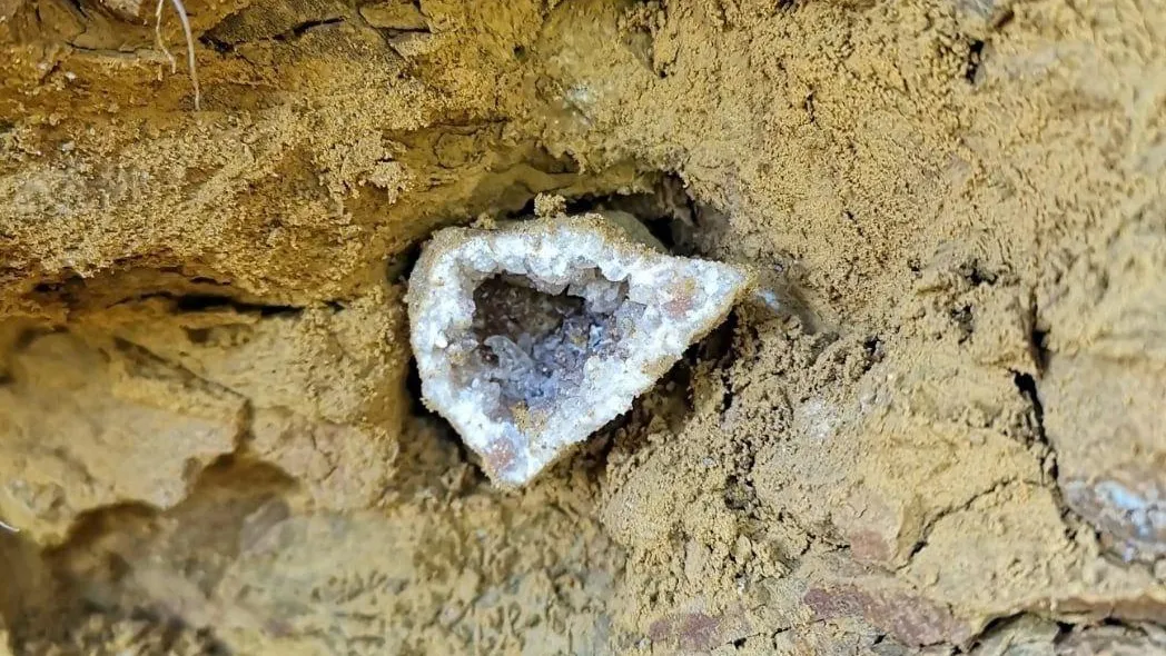 Фото: Ульянов А.И.