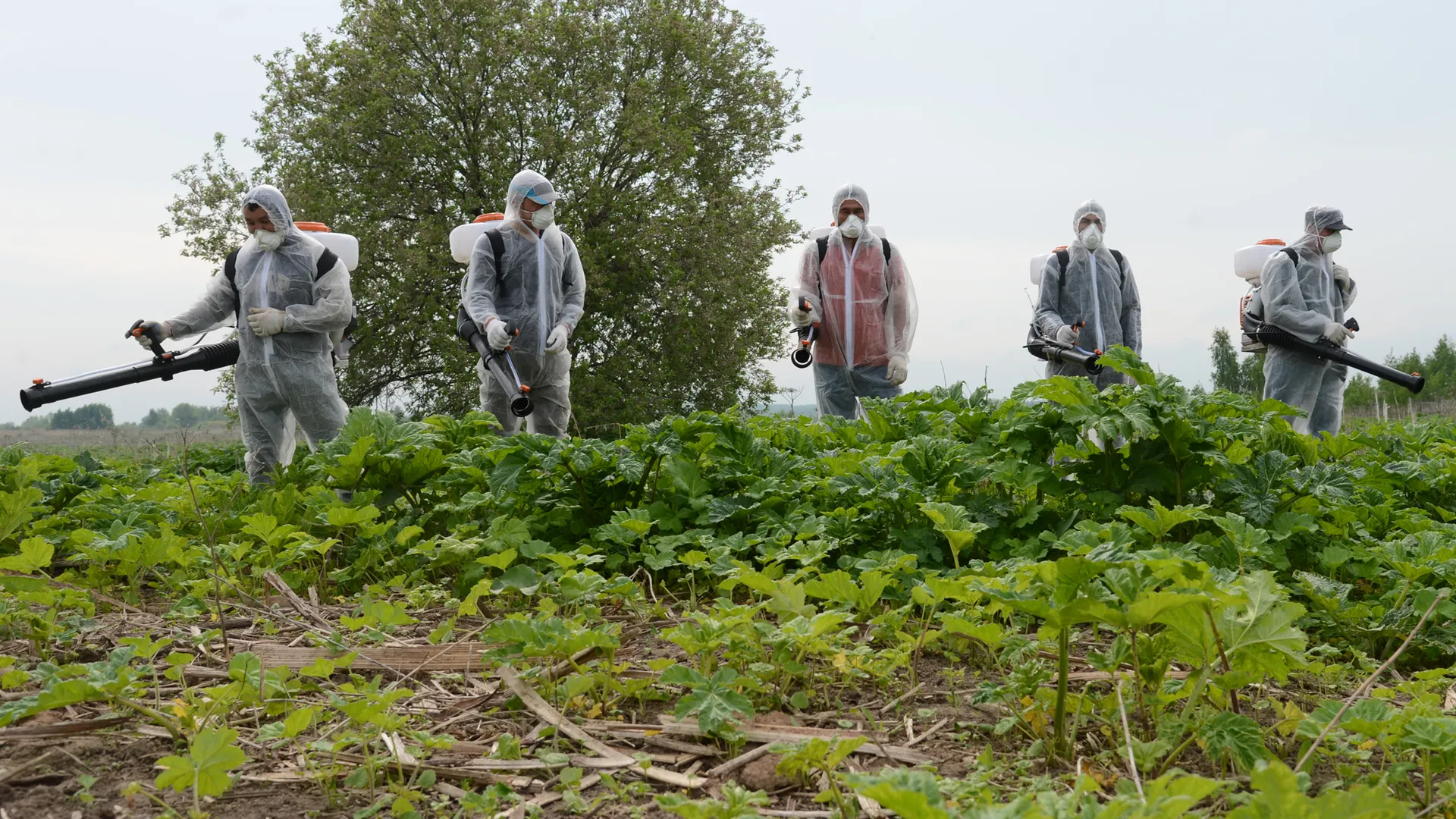 Фото: Нина Соколова