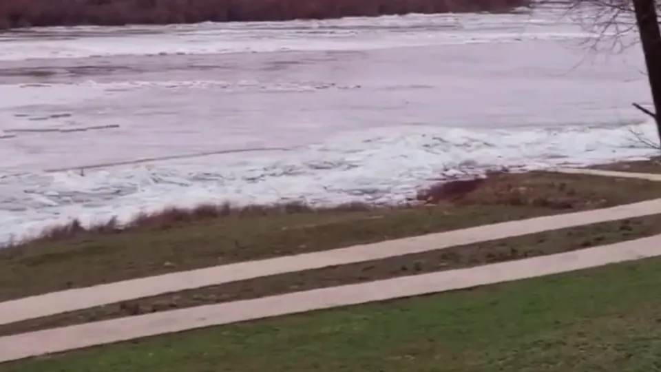 Фото: пресс-служба администрации г. о. Кашира