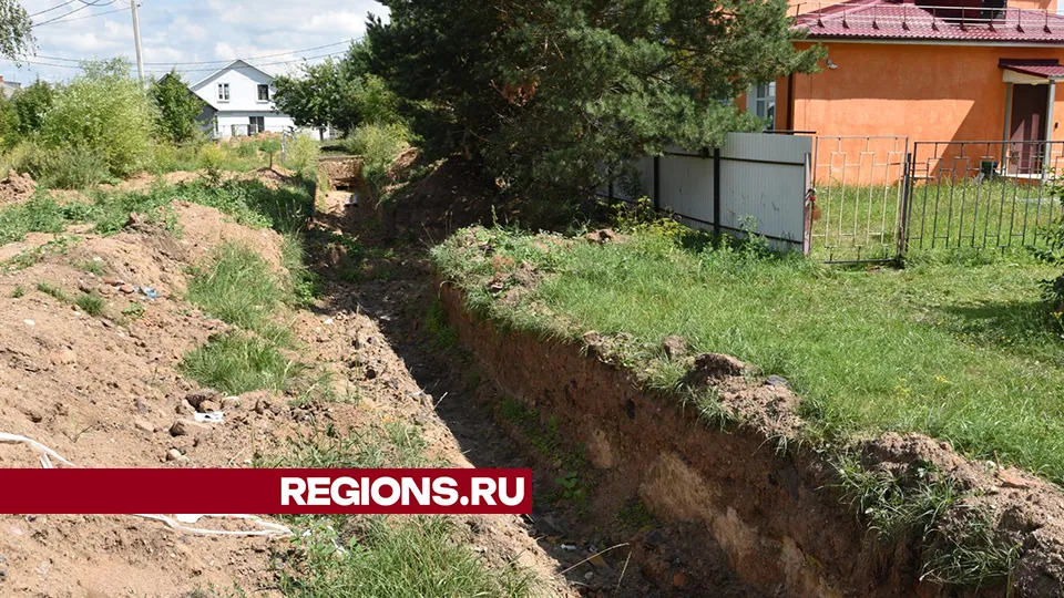 Фото: Владимир Останин