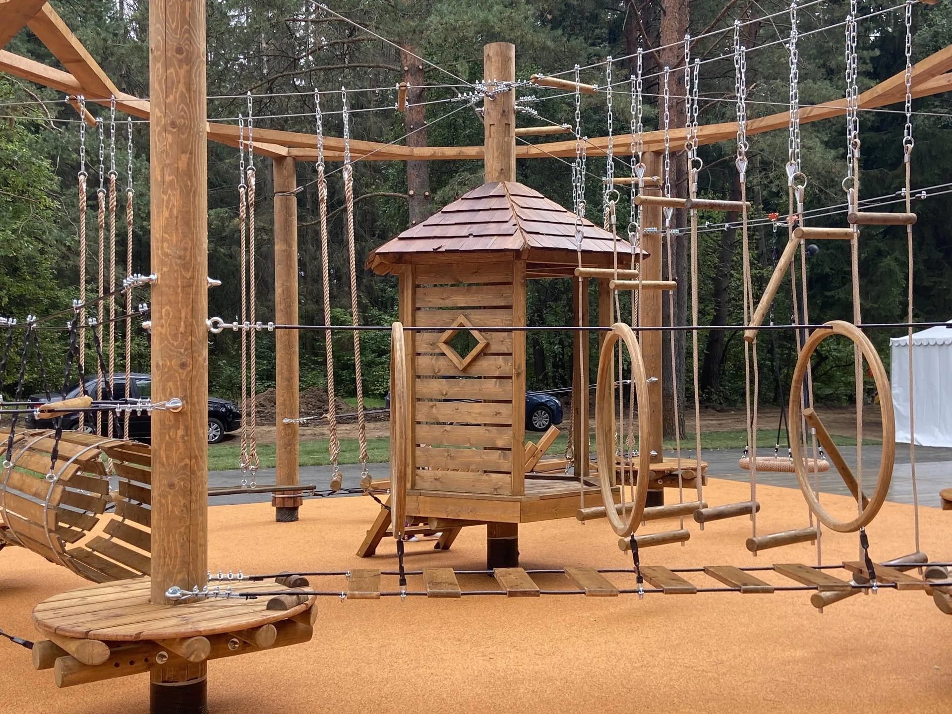 Фото: Светлана Борщева