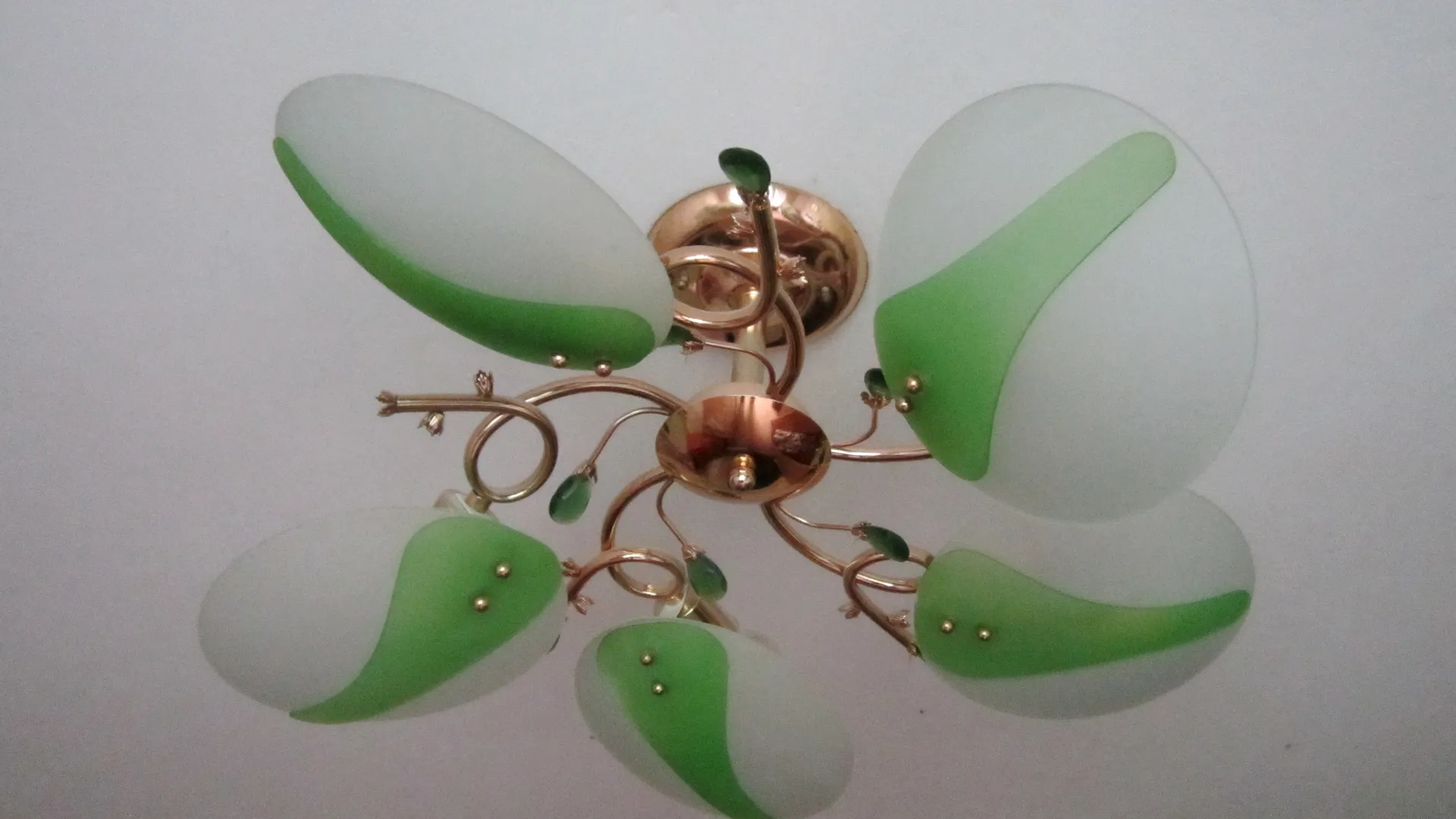 Фото: Олег Книжник