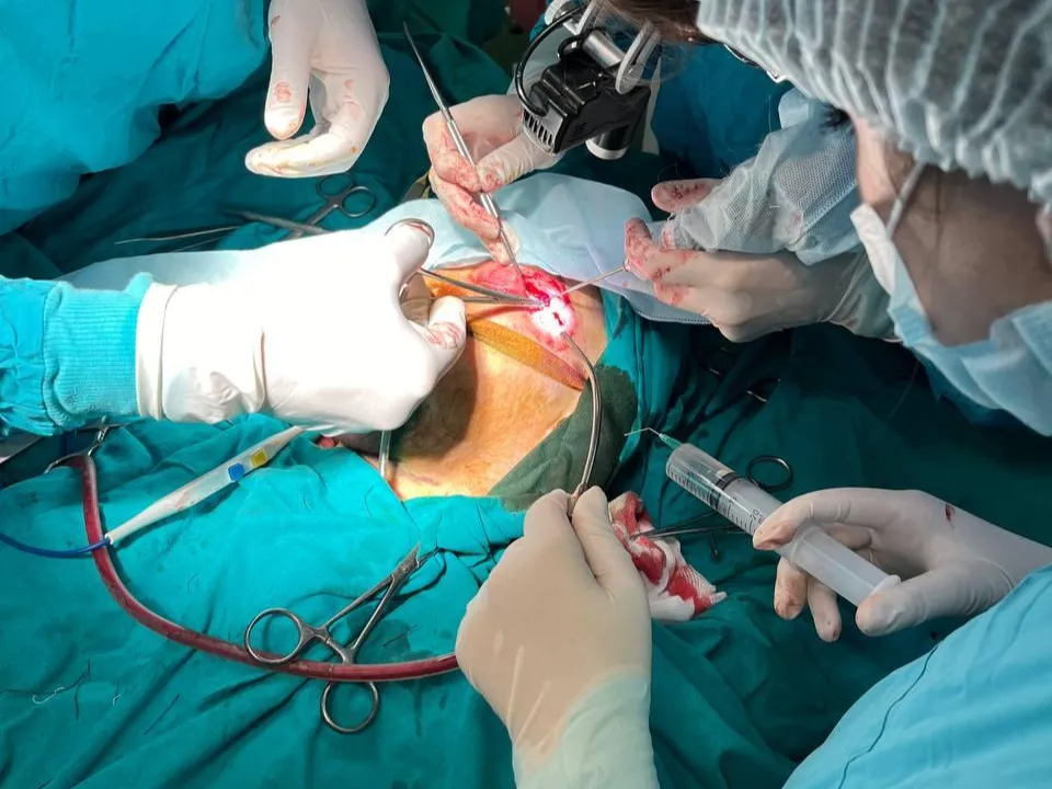 Фото: пресс-служба Минздрава