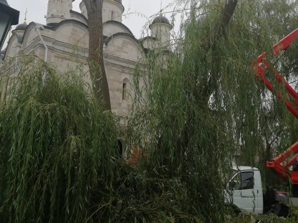 Фото: t.me/Inokini