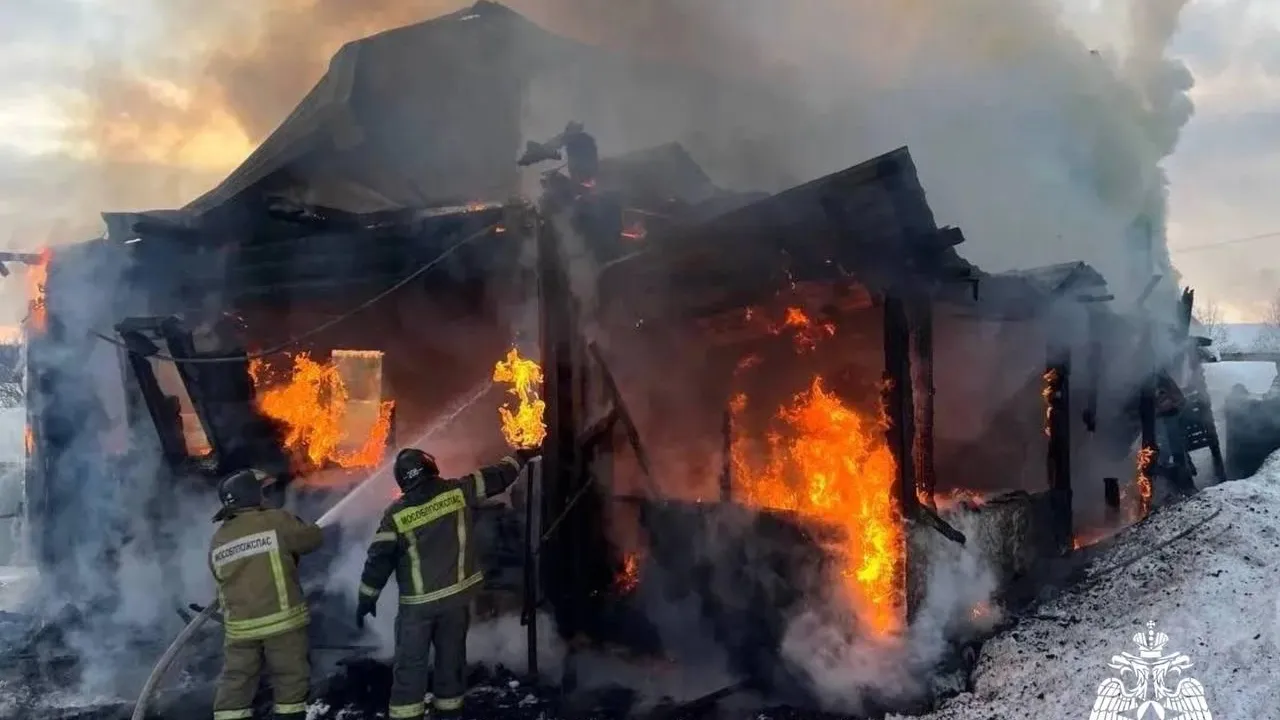 Telegram/МЧС Московской области