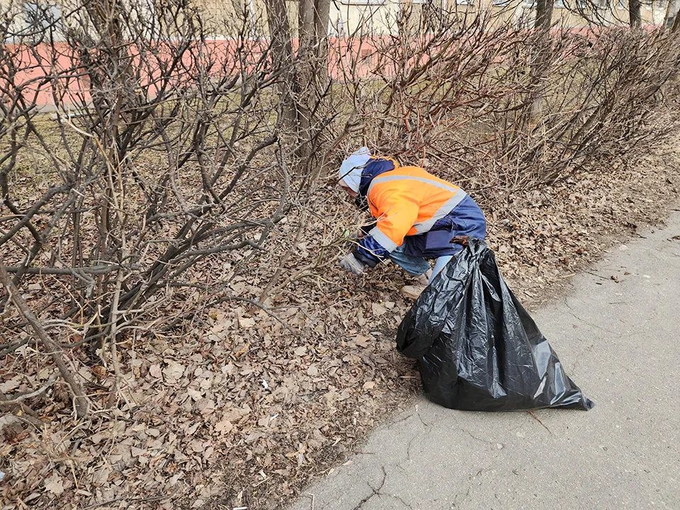 Фото: REGIONS/Александр Степушкин