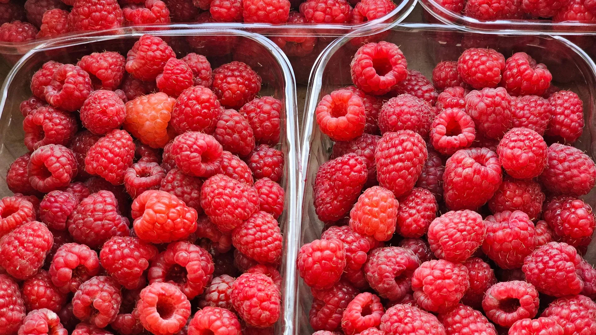 Фото: REGIONS/Александр Дрожжин