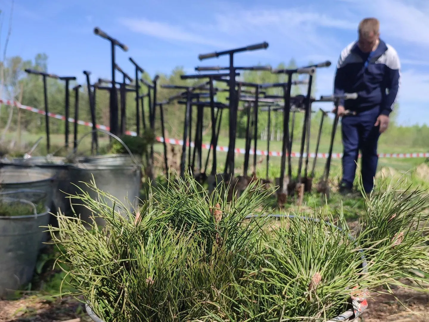 Фото: Знамя труда | Новости Егорьевска